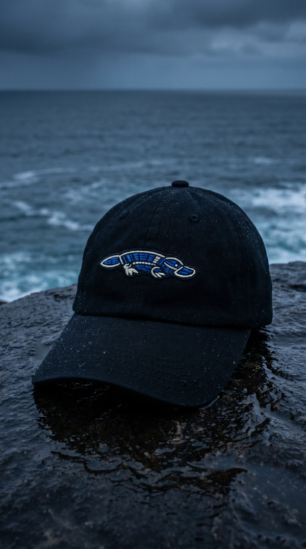Embroidered Platypus Cap — Ocean